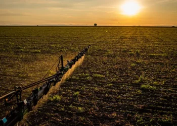 fabricante de máquinas agrícolas