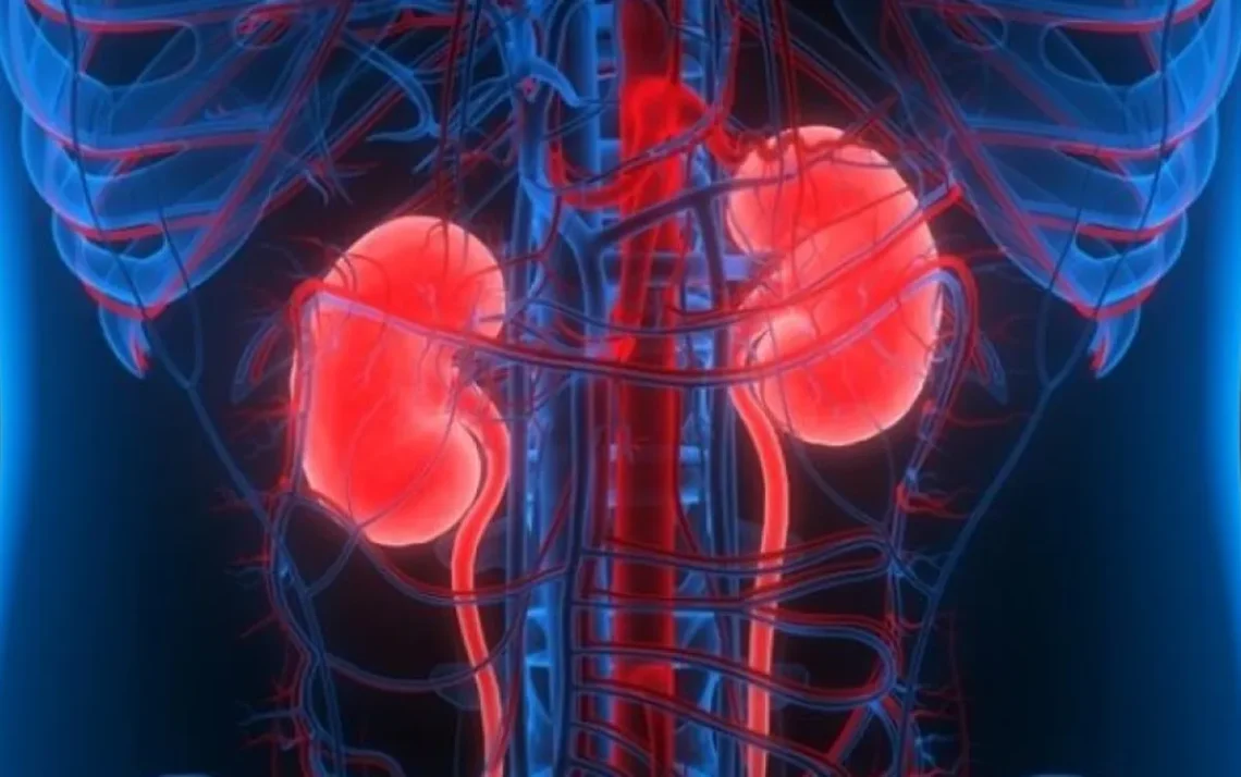 doença renal, terapia de substituição renal, tratamento da doença renal