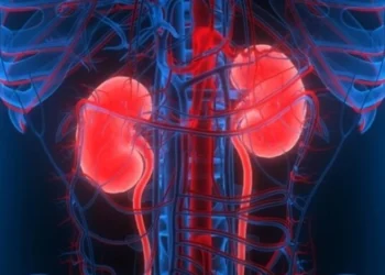 doença renal, terapia de substituição renal, tratamento da doença renal