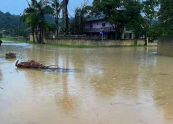 chuva, precipitação, pluviamento;