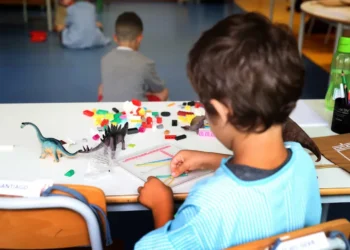 instituição, de educação, infantil;