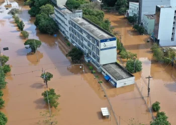 educação superior;