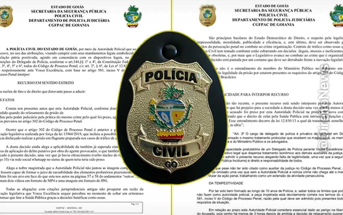 policia, autoridade;