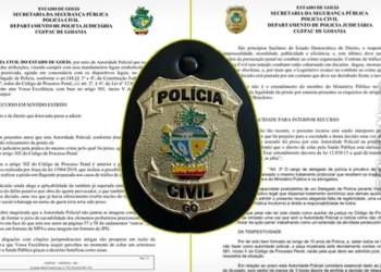 policia, autoridade;