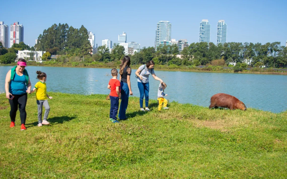 escola, instituição infantil, estabelecimento de ensino, escola maternal;