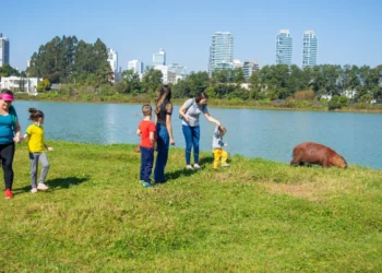 escola, instituição infantil, estabelecimento de ensino, escola maternal;