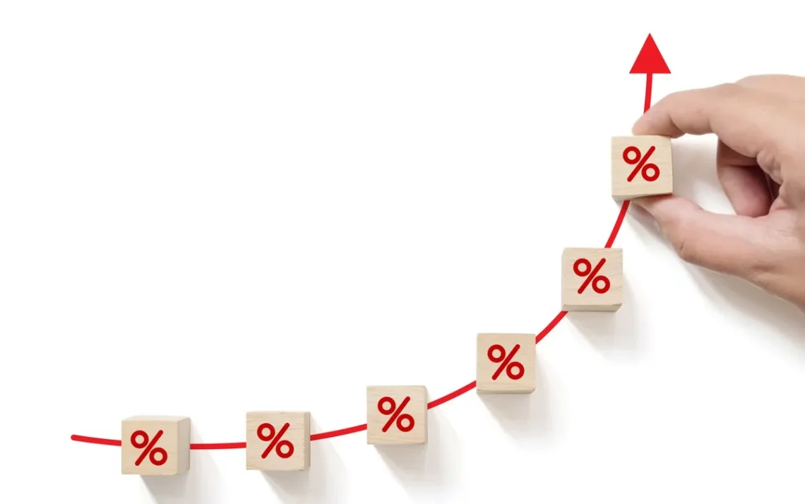 Investimento, público, títulos, do governo, investimento, em renda, fixa;