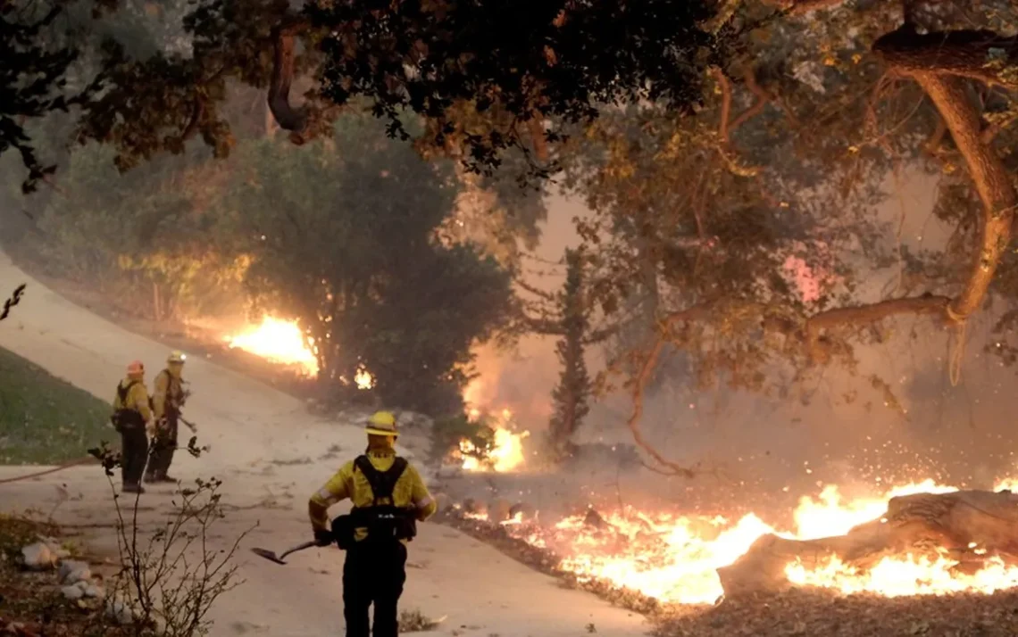 queimadas, focos, de incêndio, incêndios, florestais;