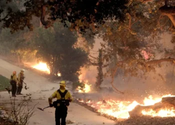 queimadas, focos, de incêndio, incêndios, florestais;