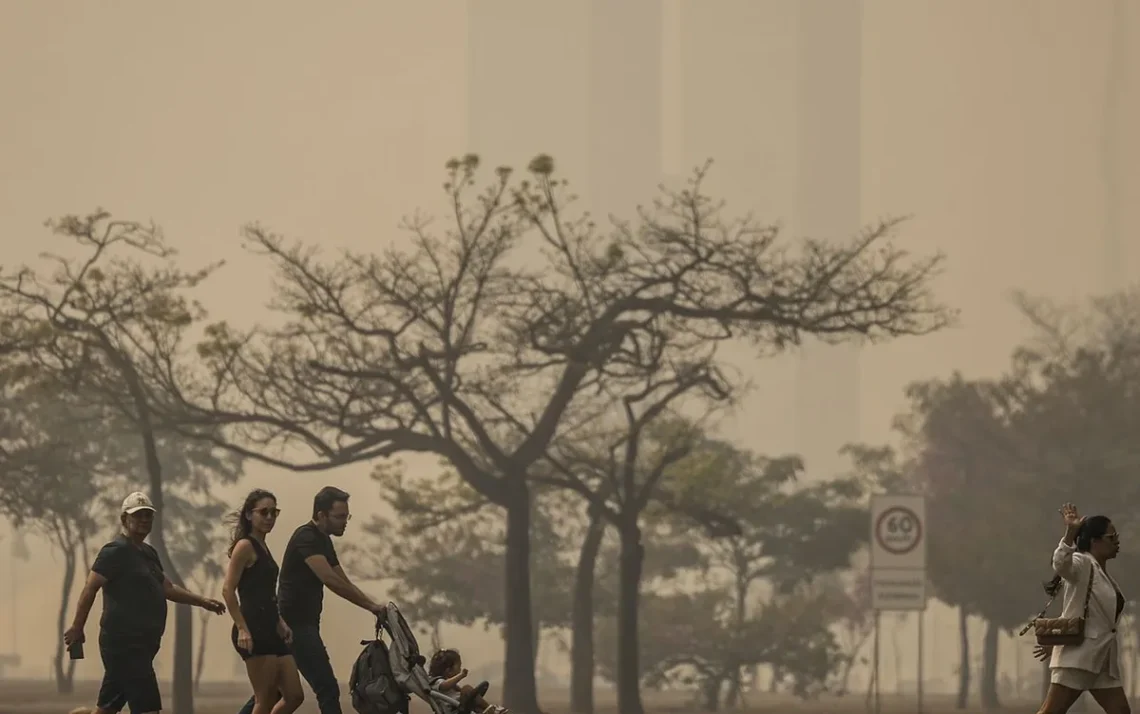 poluentes, neblina, partículas, ozônio;