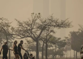 poluentes, neblina, partículas, ozônio;