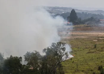 queimadas, fogo, criminoso;