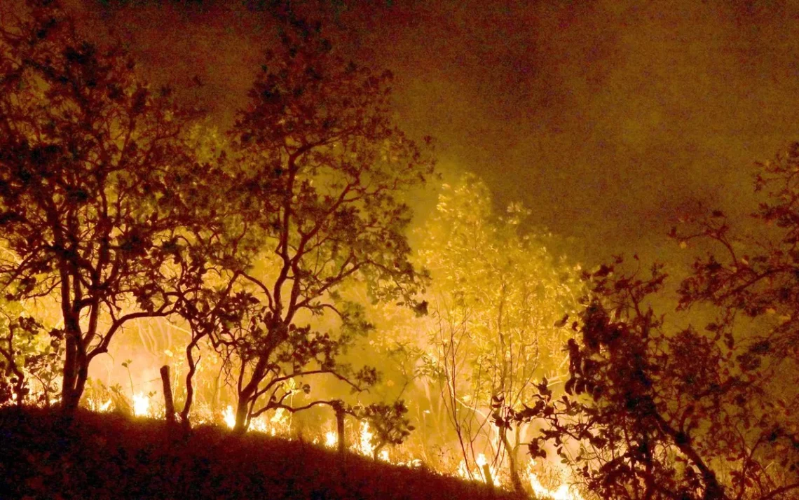 incêndios, chamas, fogo;