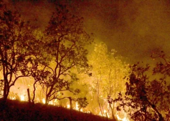 incêndios, chamas, fogo;