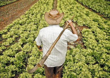 locação, contrato, de arrendamento, uso, da terra;