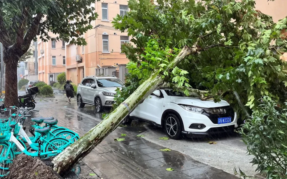 tempestade, furacão, ciclone;