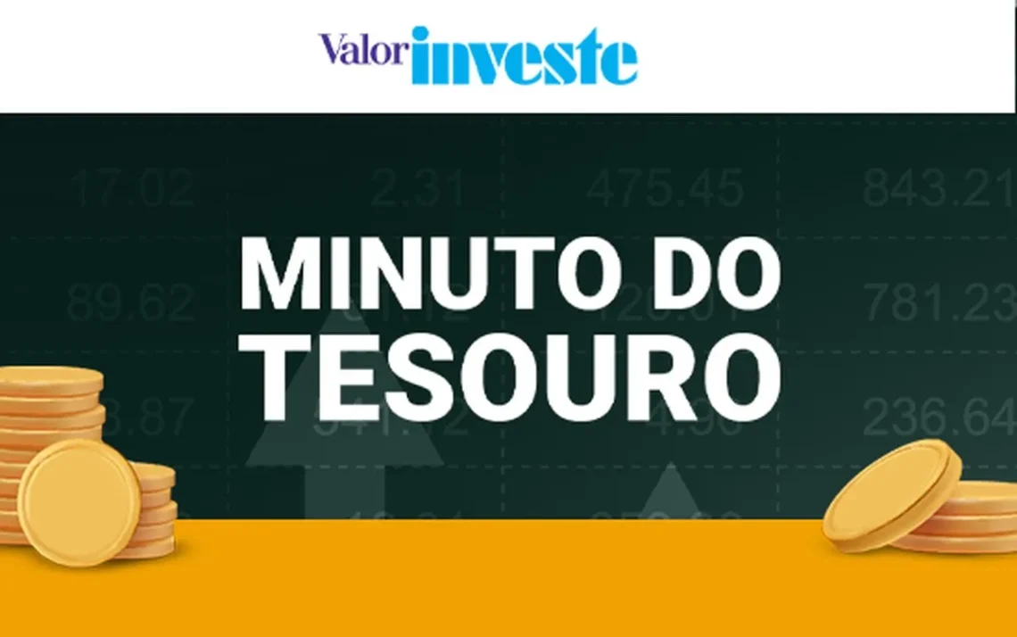 Título público, Investimento;