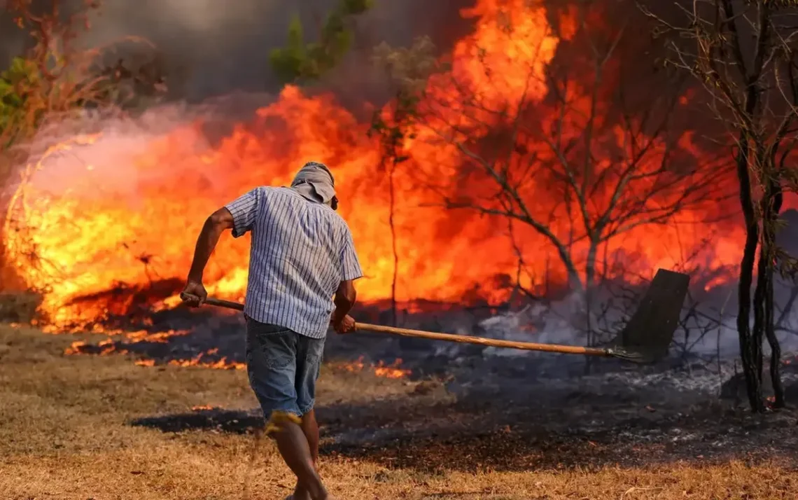 incêndios, focos, de incêndio, fogo';